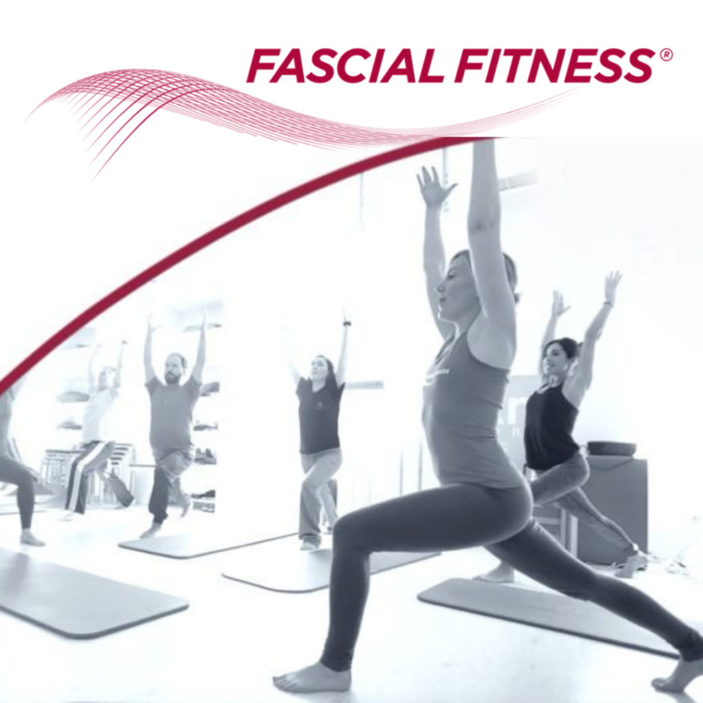 Fascial Fitness Trainerkurs